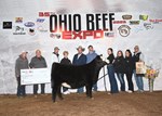 10thheifer