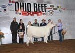 6th heifer