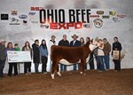 7th heifer