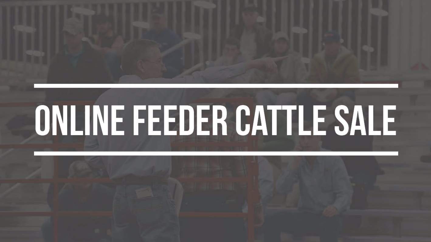 Online Feeder Sale 16-9online-feeder-sale.jpg
