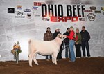 chcompcharolais