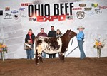 chshorthorn