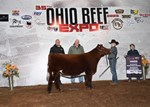 resbbsshorthorn