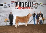 Reserve Crossbred