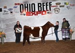 resshorthorn
