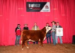 champion-mini-female