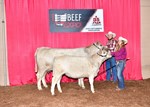 chmurray-cowcalf
