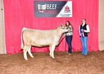 chmurrayheifer