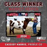 class-1-market-heifer.png
