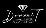 diamond-t.jpg