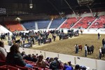 People sitting in crowd