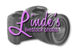 linde-logo_with-camera_transparent.png
