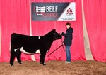 High Selling Maine Female