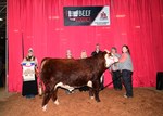 res-herf-bull