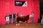 reserve-mini-bull