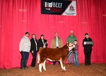 reserve-mini-prospect