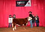reserve-mini-steer