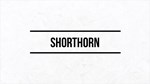 Shorthorn